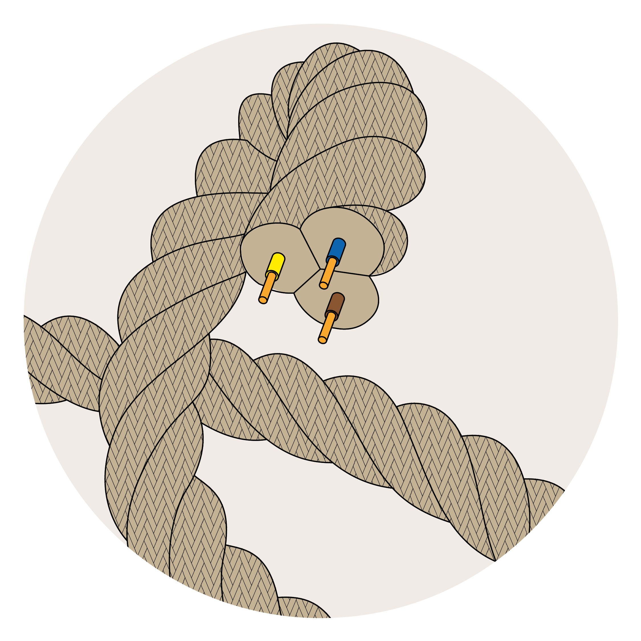 Cordões