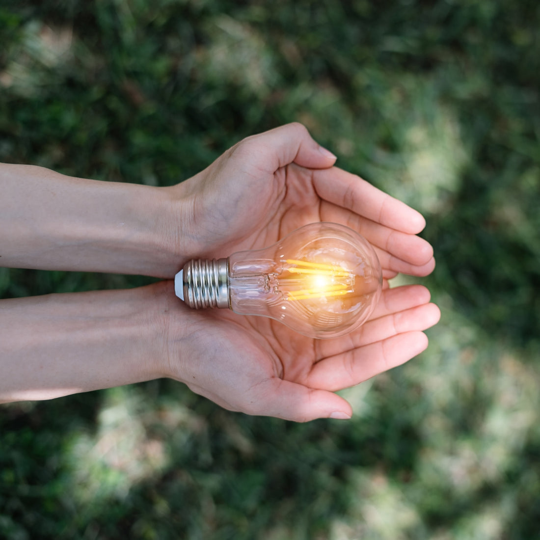 <strong>Design sustentável</strong>